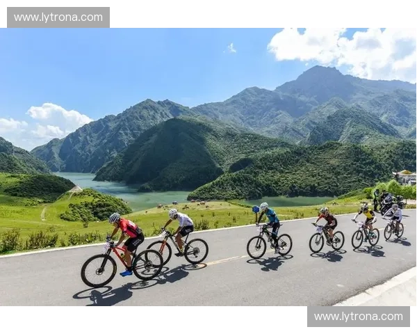 两轮之眼：自行车数据纪录片